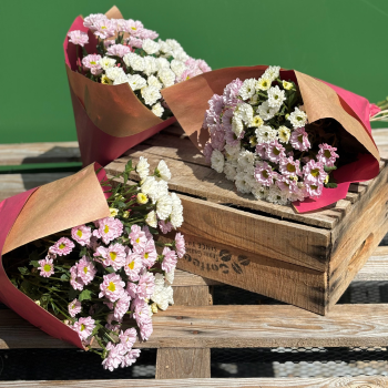 Santini fresh flowers for your home, small floral gift 